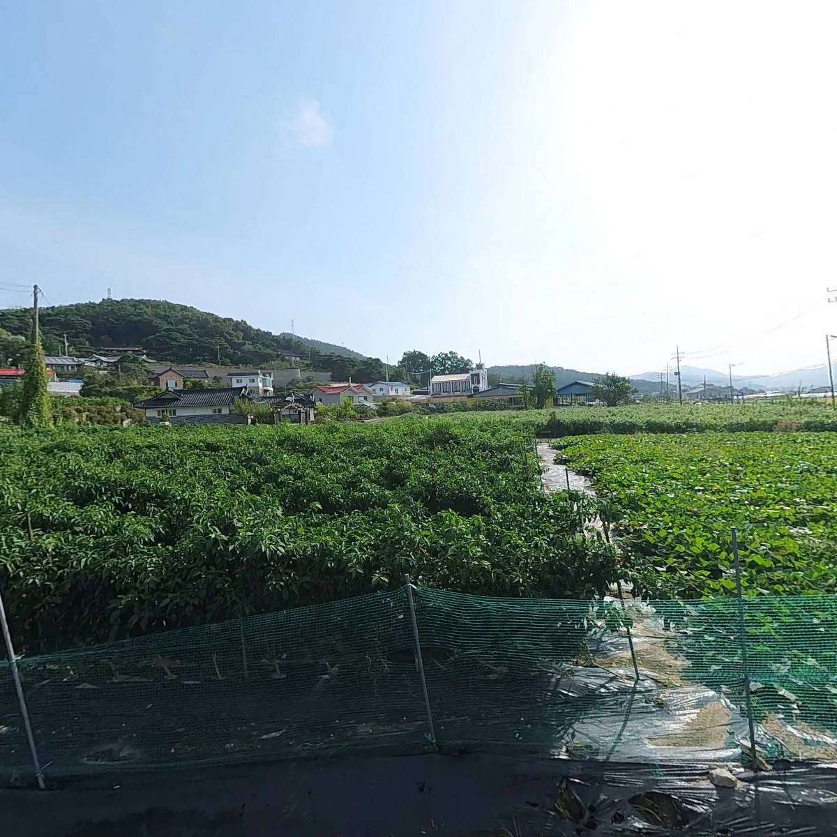 얼큰해물짬뽕전문