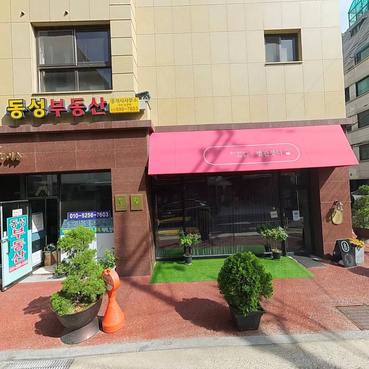 손선자