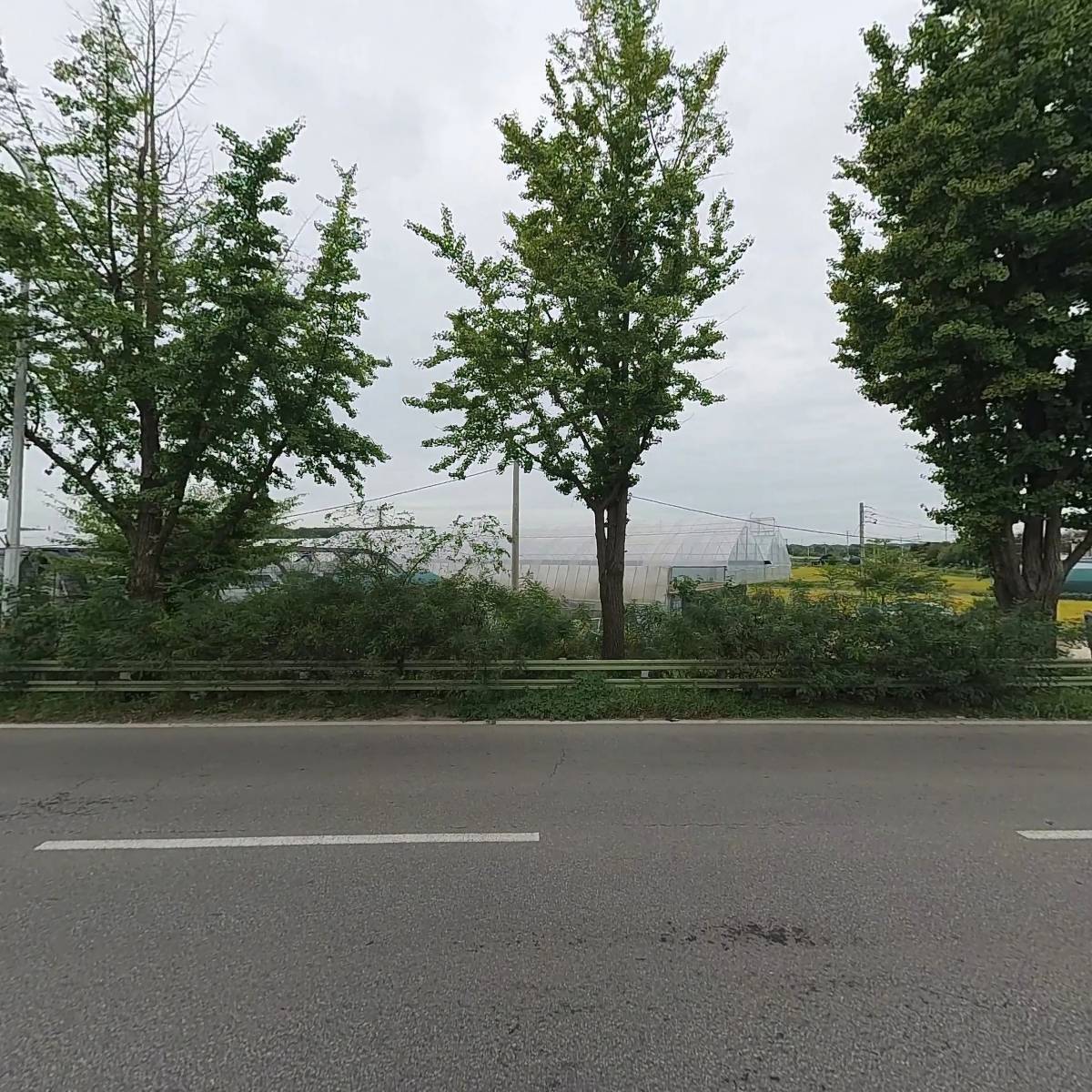 통일로다육농장_3