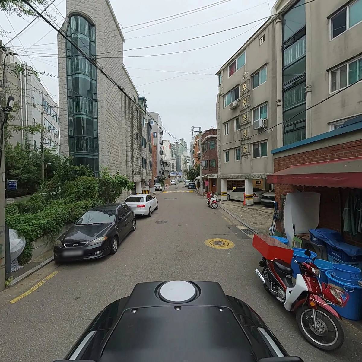 신가향_2