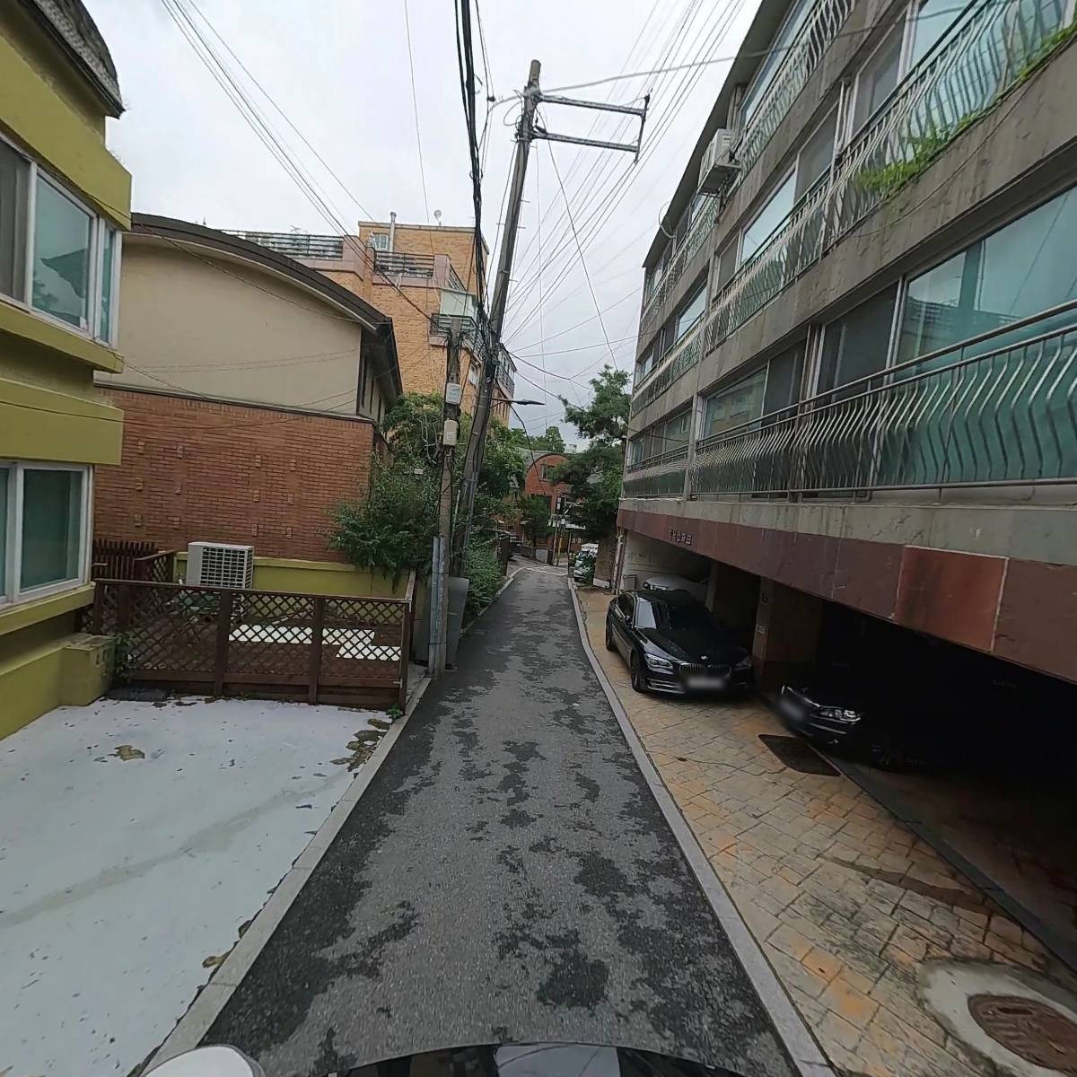 마그마숲_2