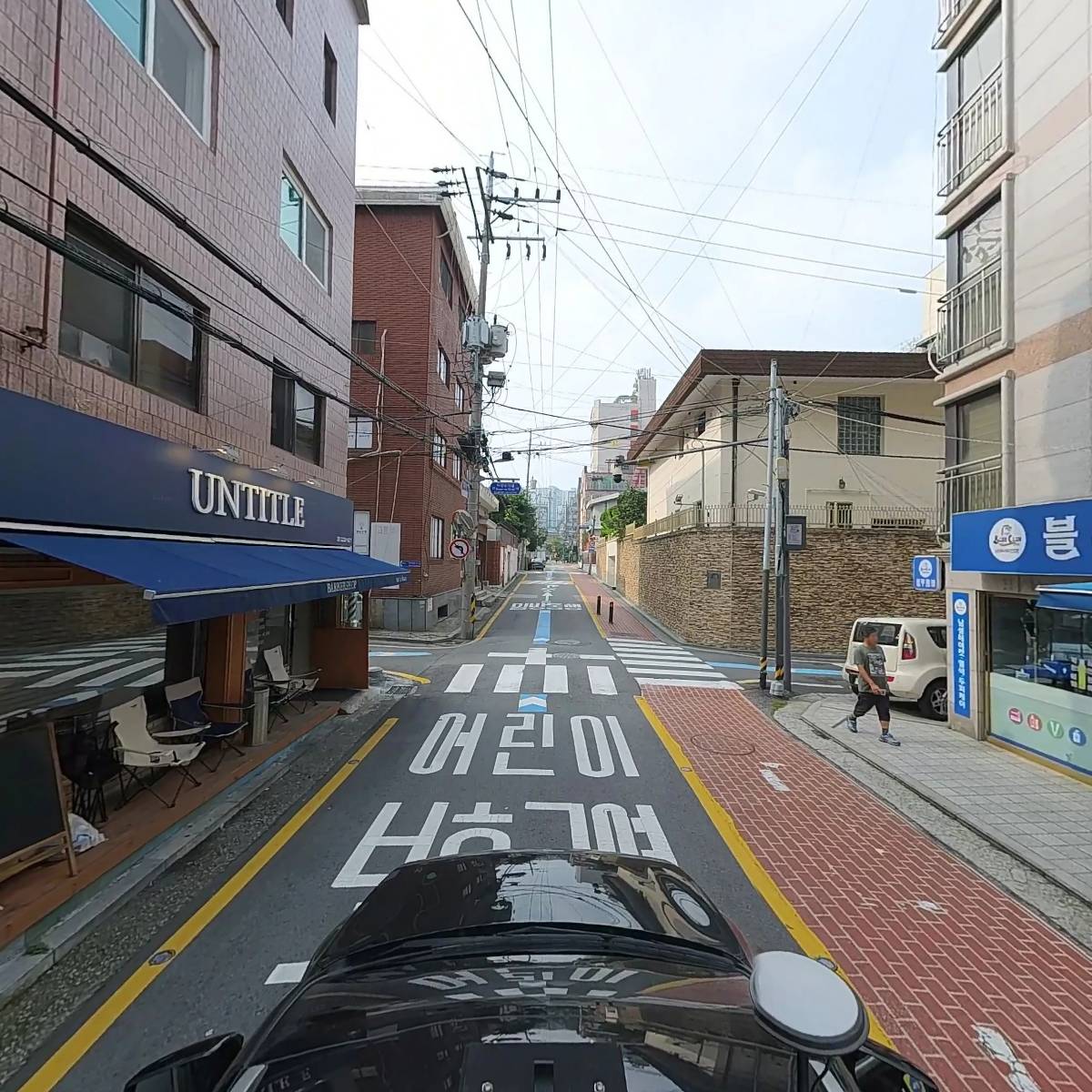 진달래_4