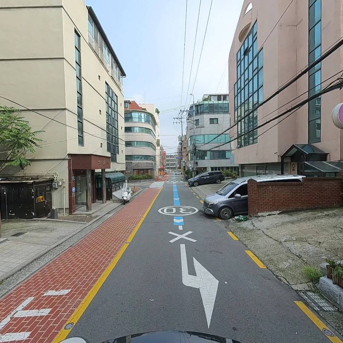 진달래_2