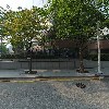(주)명성인터내셔널 던킨