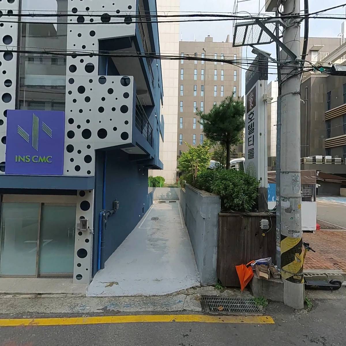 데이드노프