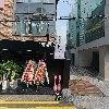 브로우돌