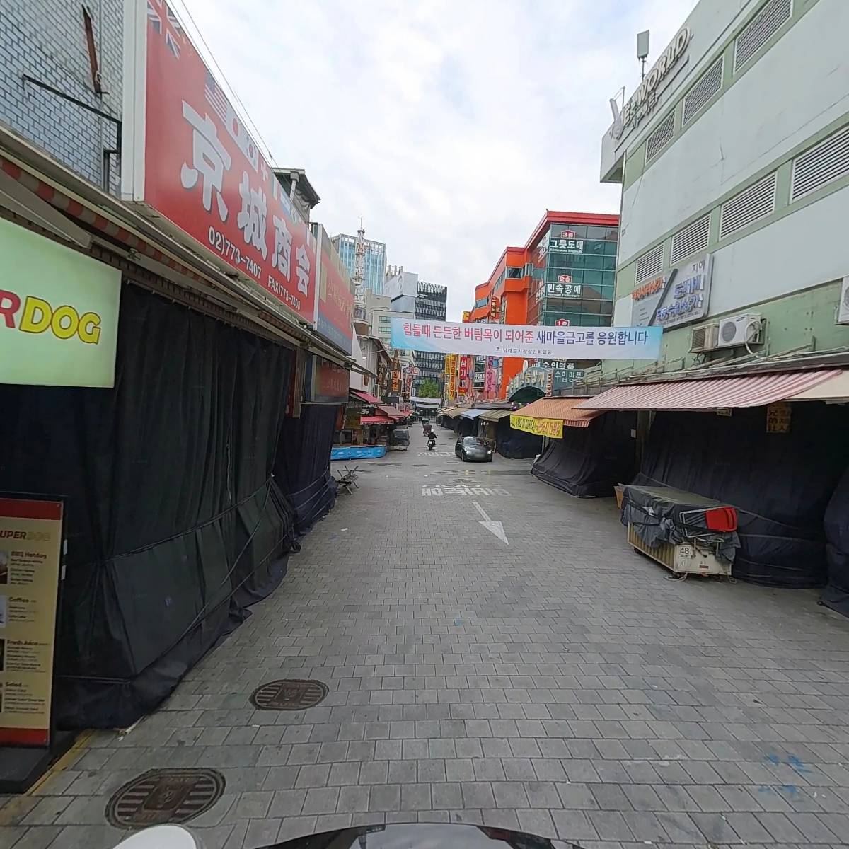 한국인삼_2