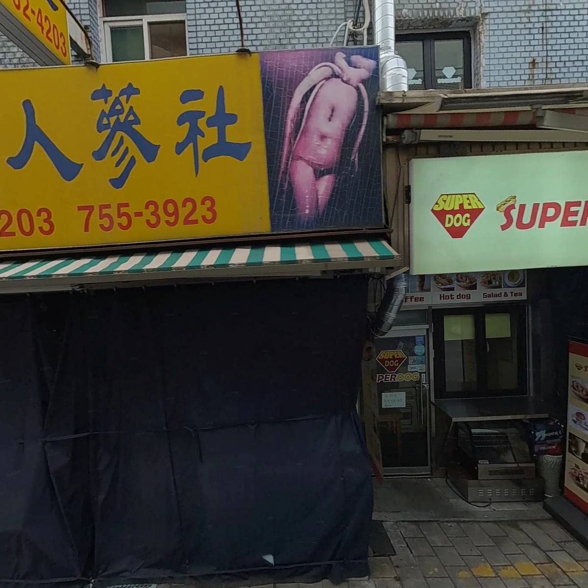 한국인삼