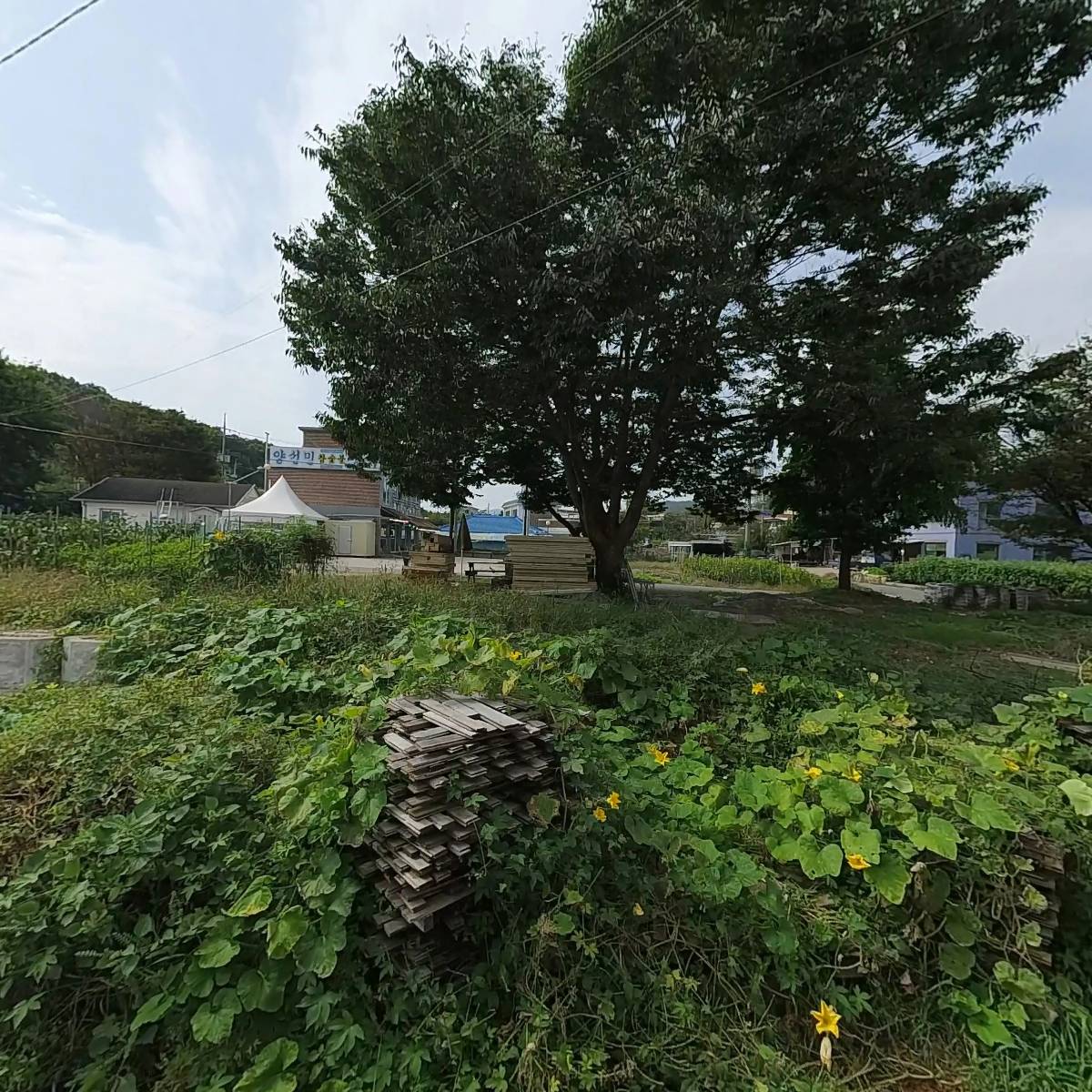 돌멘코리아(Dolmen Korea)_3