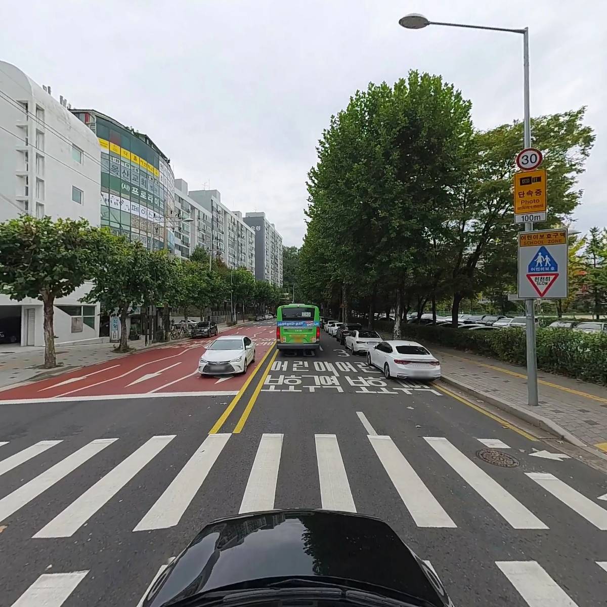 송바이올린_4