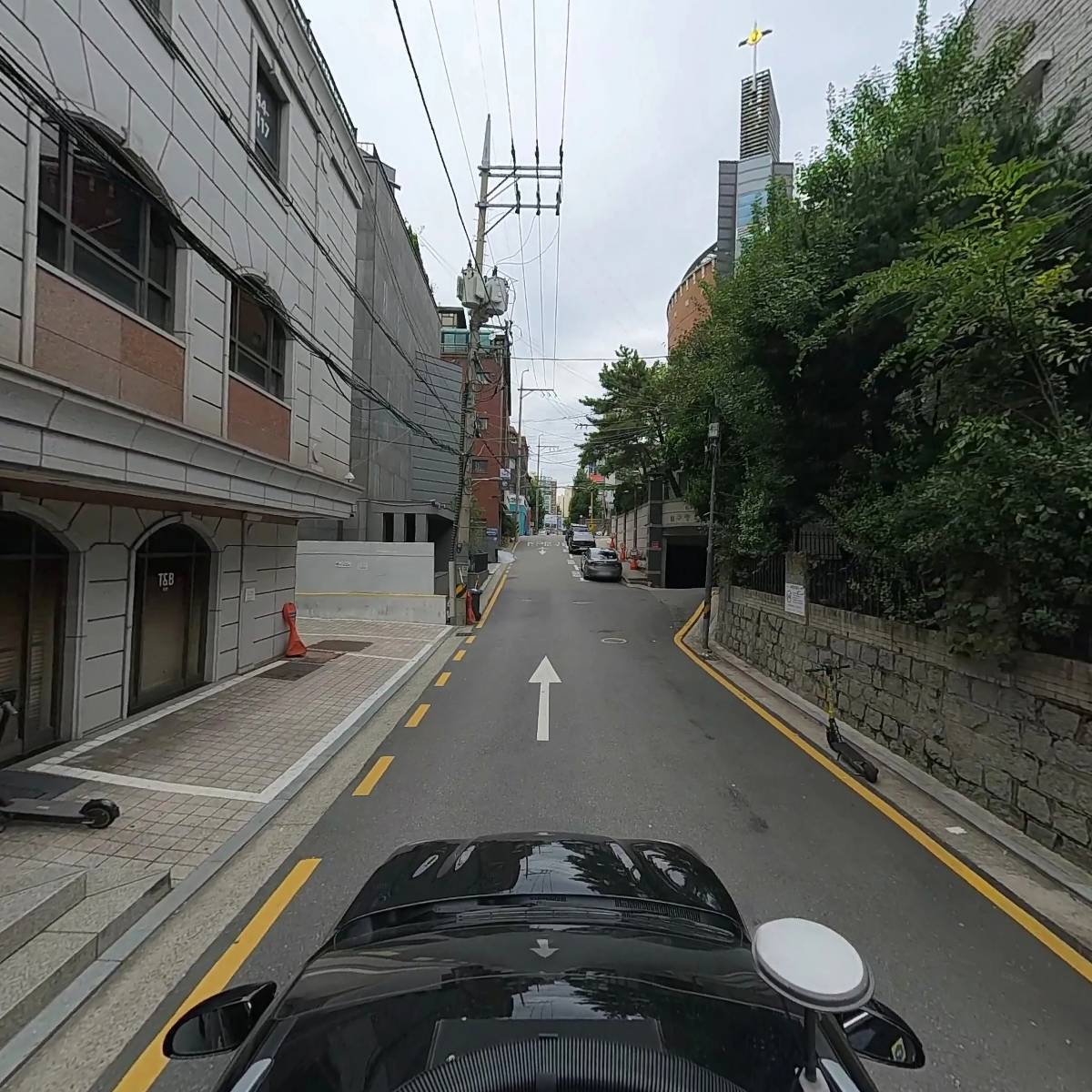 라쿤_4