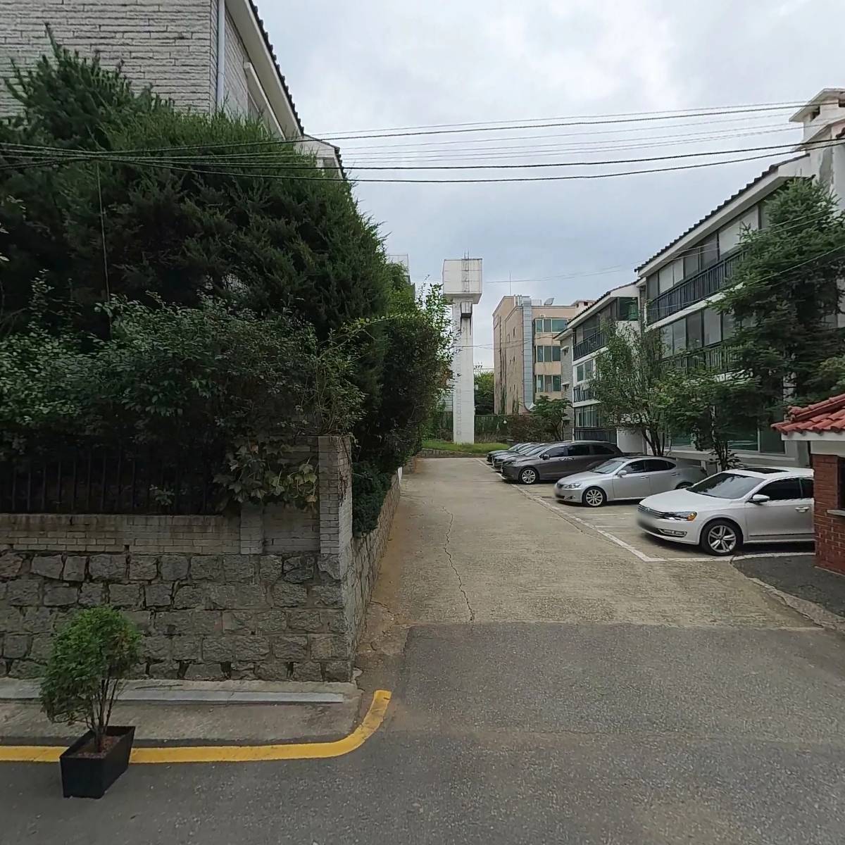 라쿤