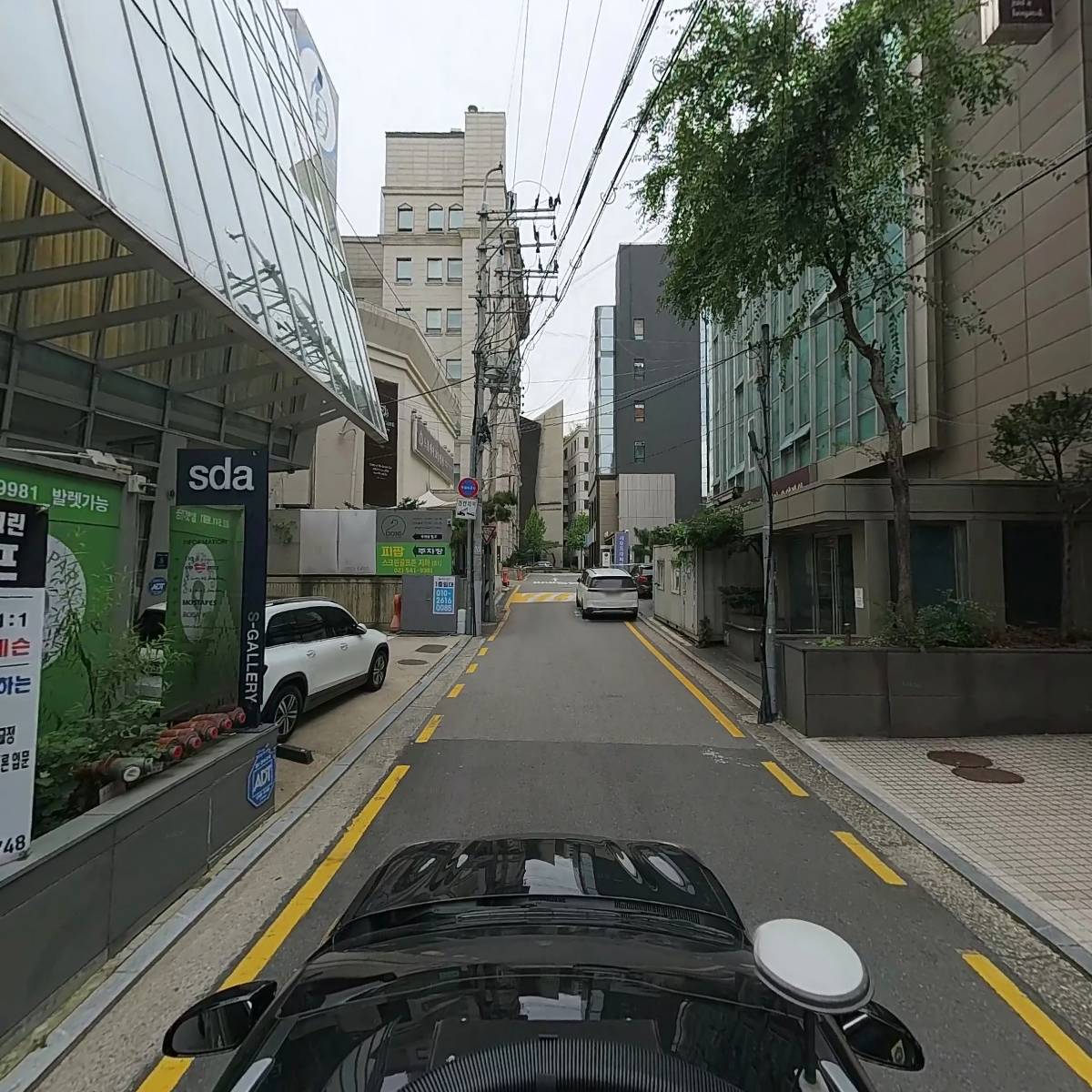 돌체테리아_4