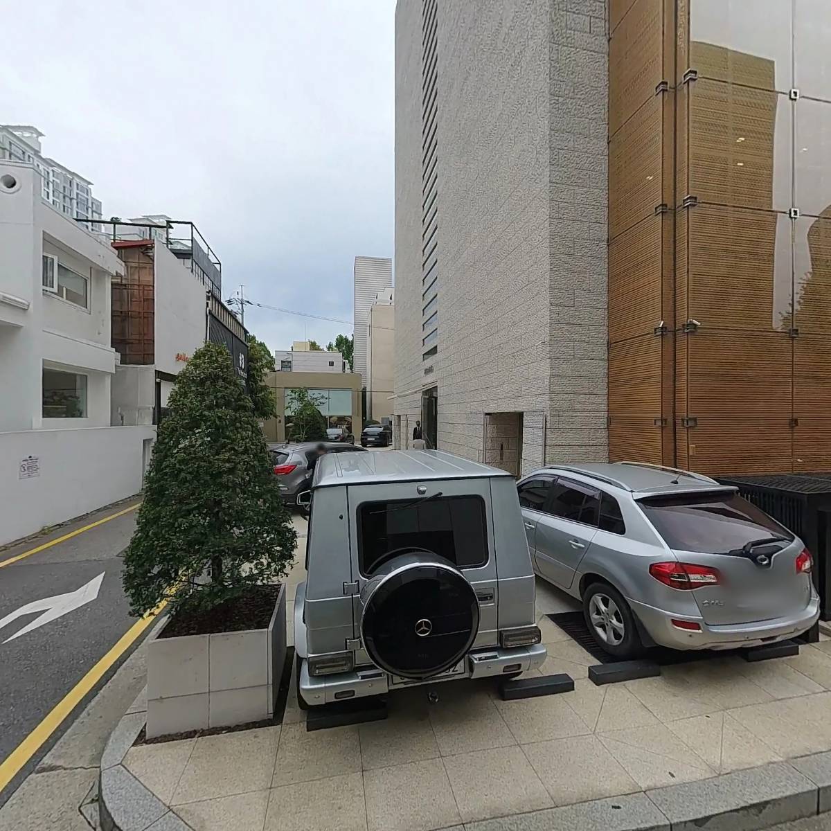 치료멍멍동물병원