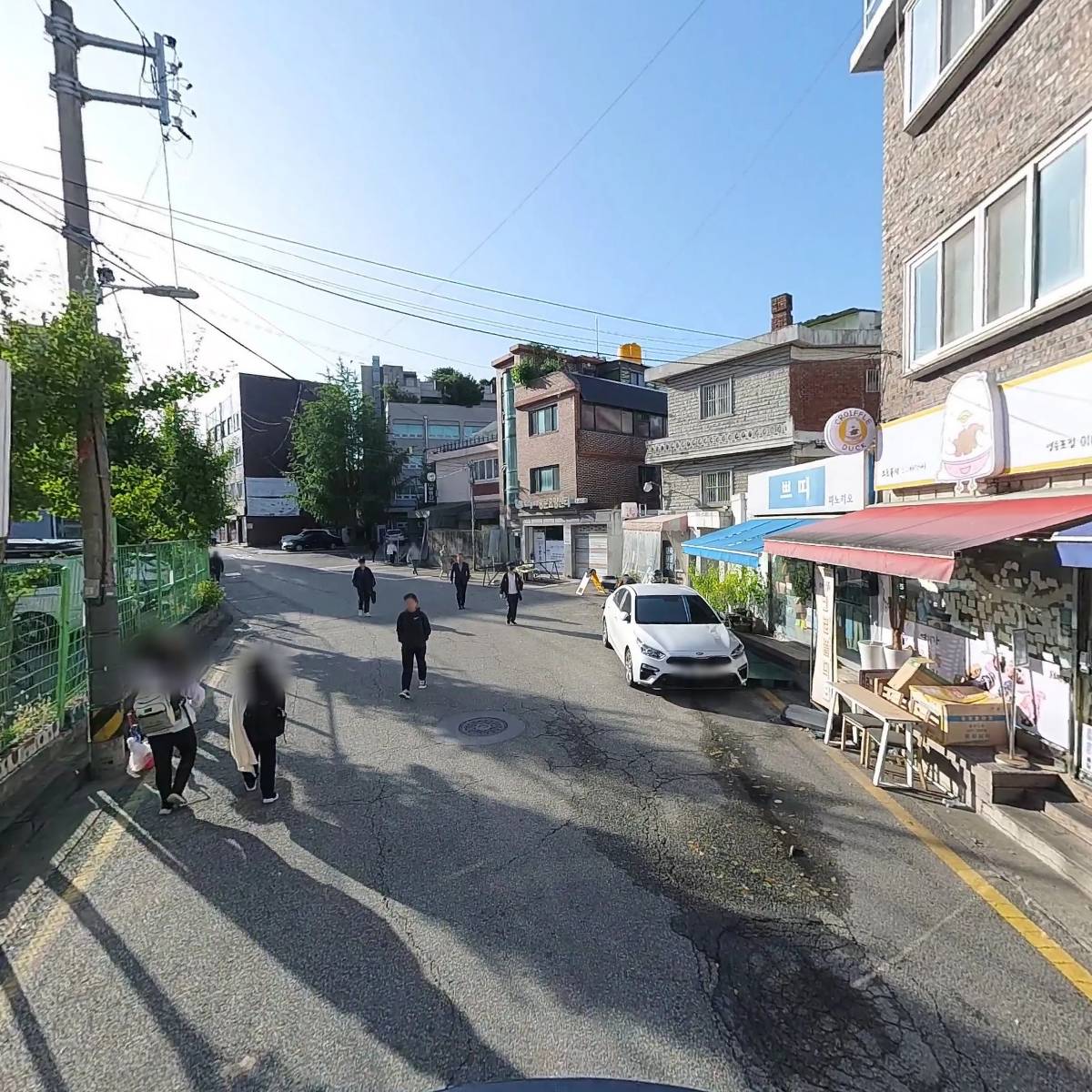 피노키오나무_2