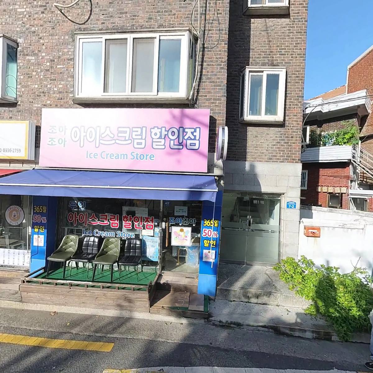 피노키오나무_3