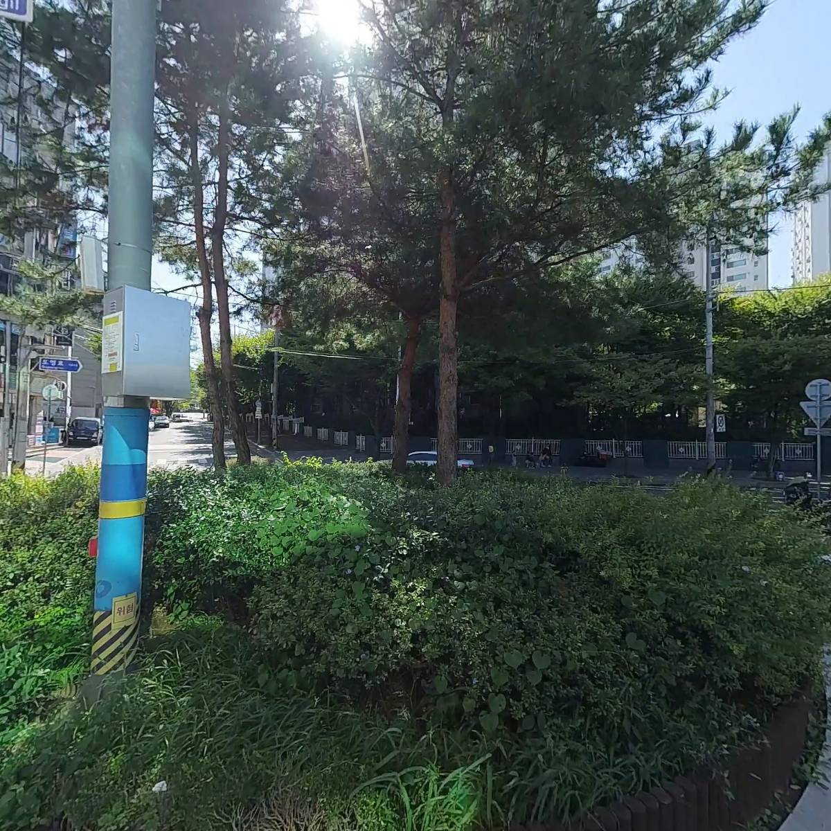 푸른잎 한의원_3