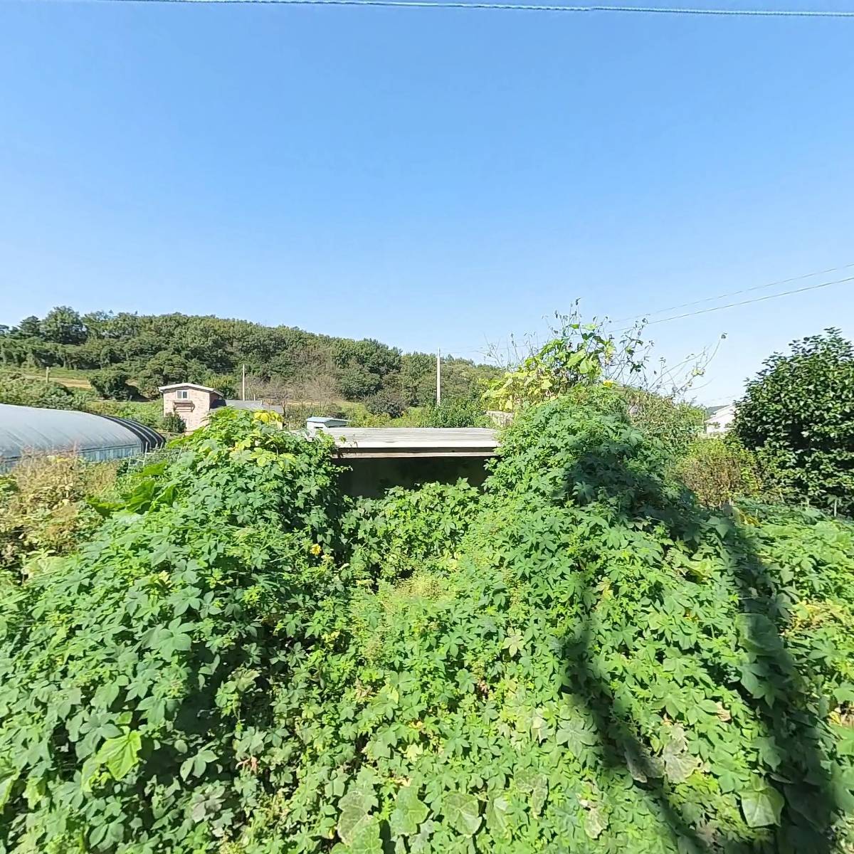 모아직업재활시설_3