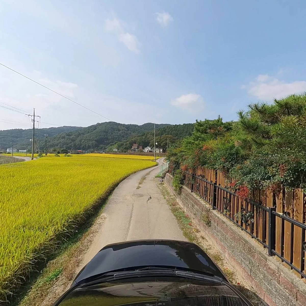 한국반려동물보호협회_4