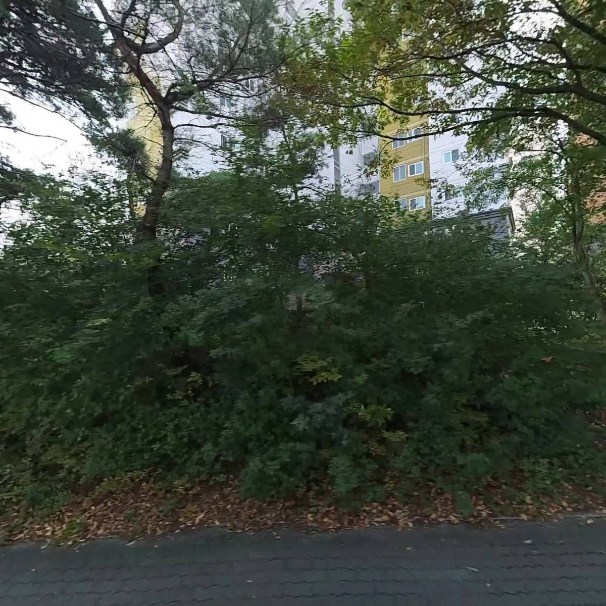 온마음상담연구소