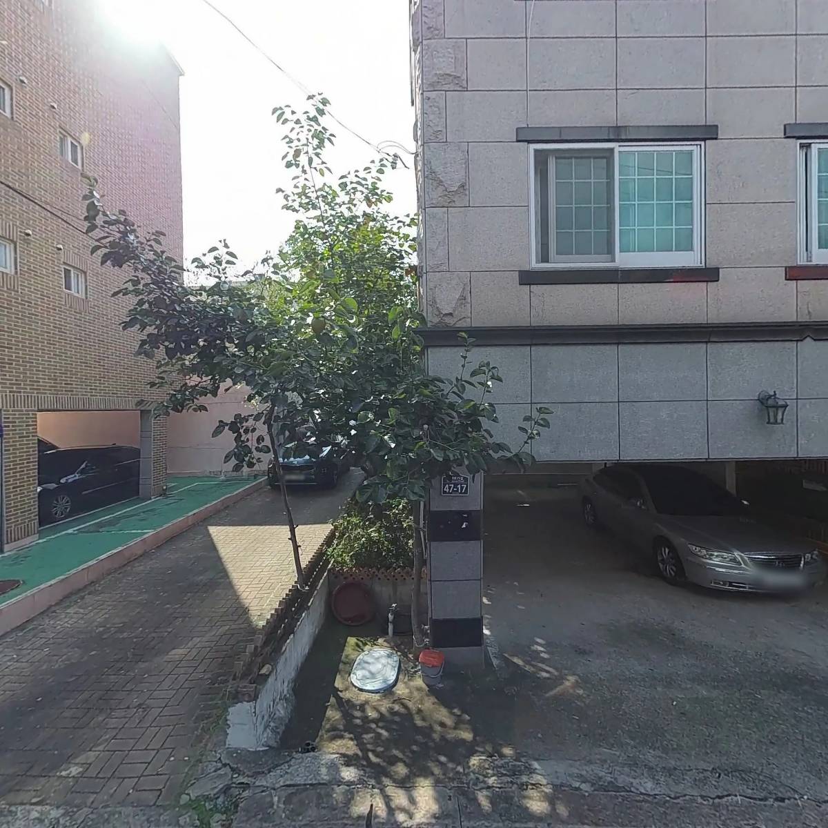스마일탄성