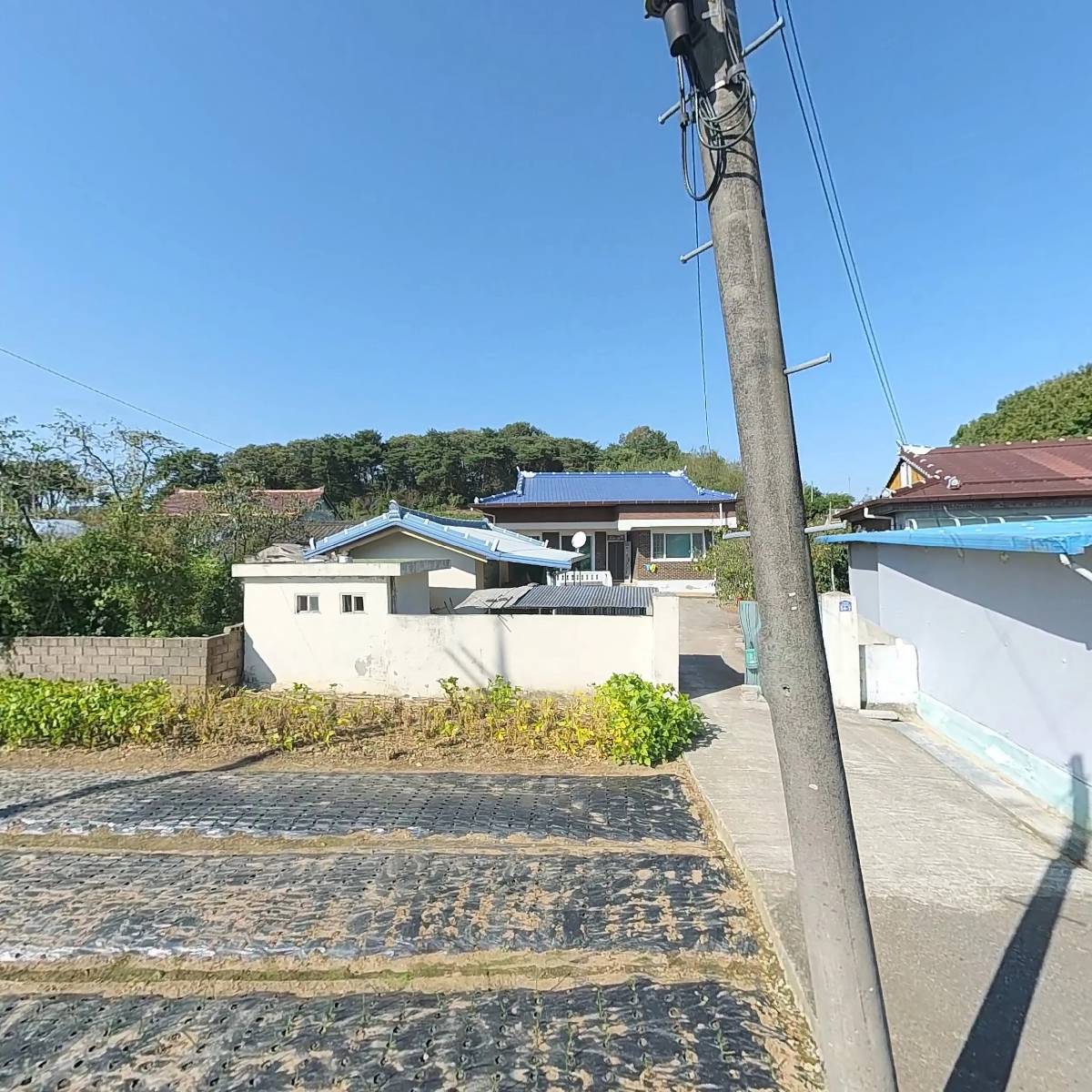 사계절식품
