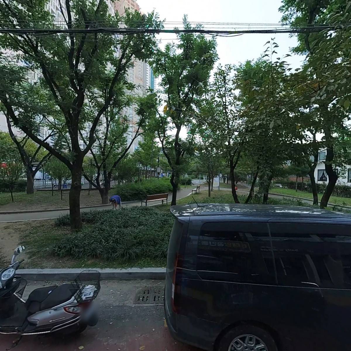 샐리즈샐러드_3