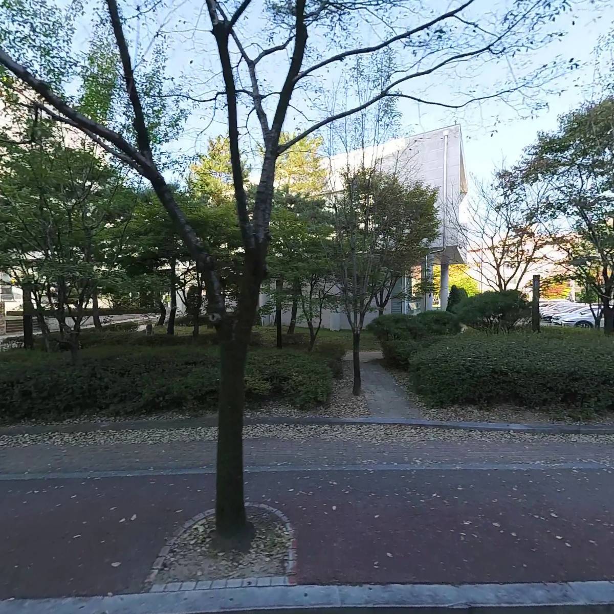 솜리치킨 전북대점
