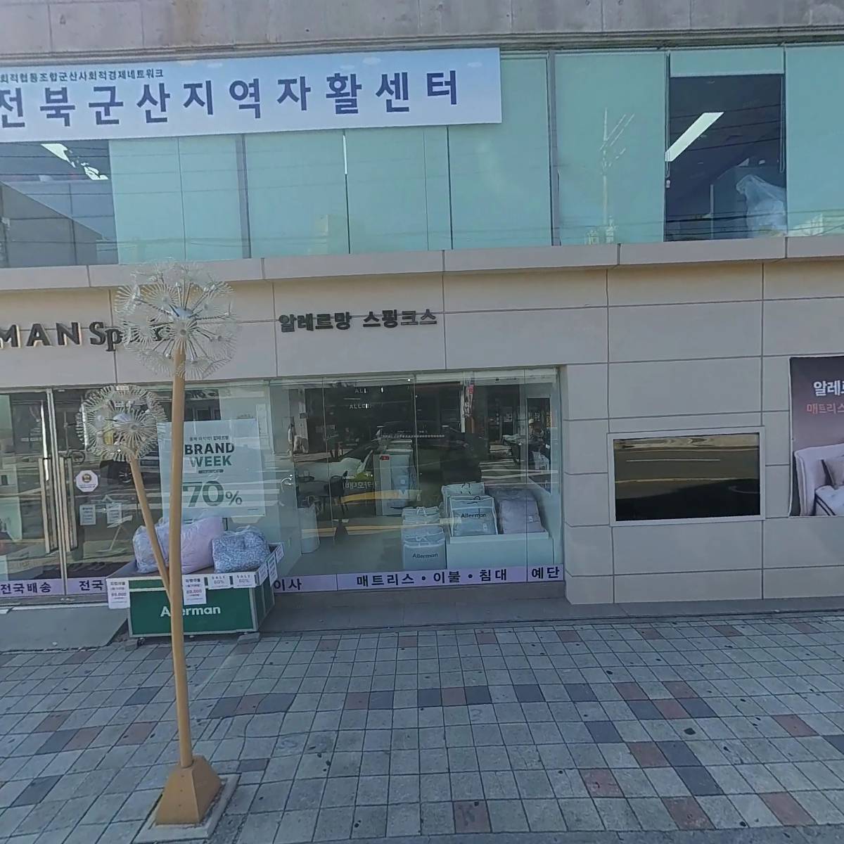 알레르망 스핑크스 군산점