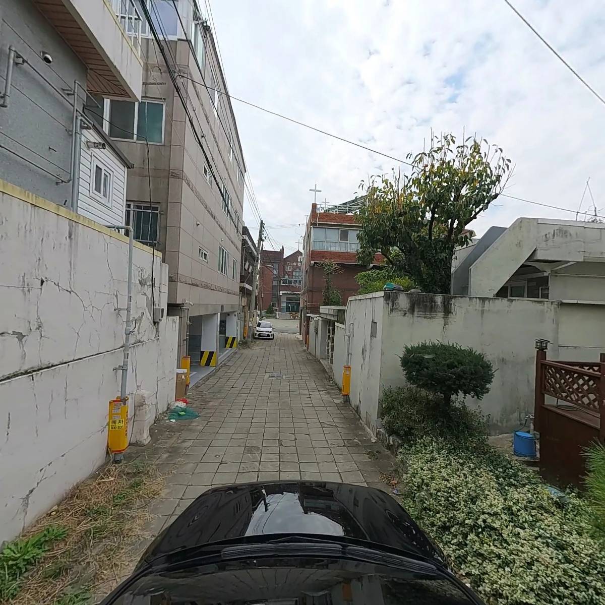세이지 가든(Sage Garden)_4