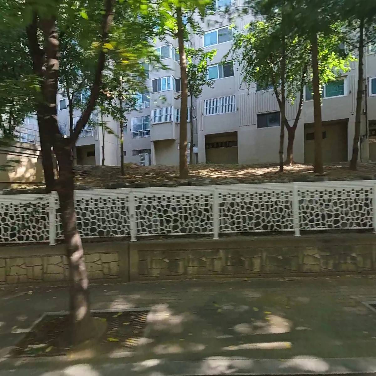바다나무 교육