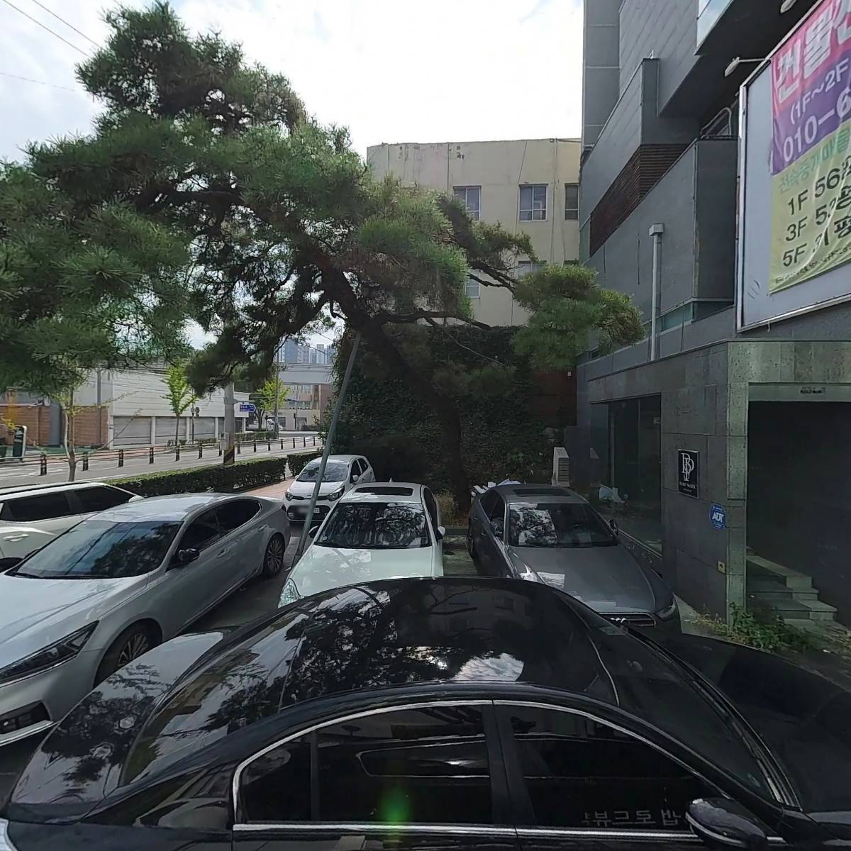 라라한복_3