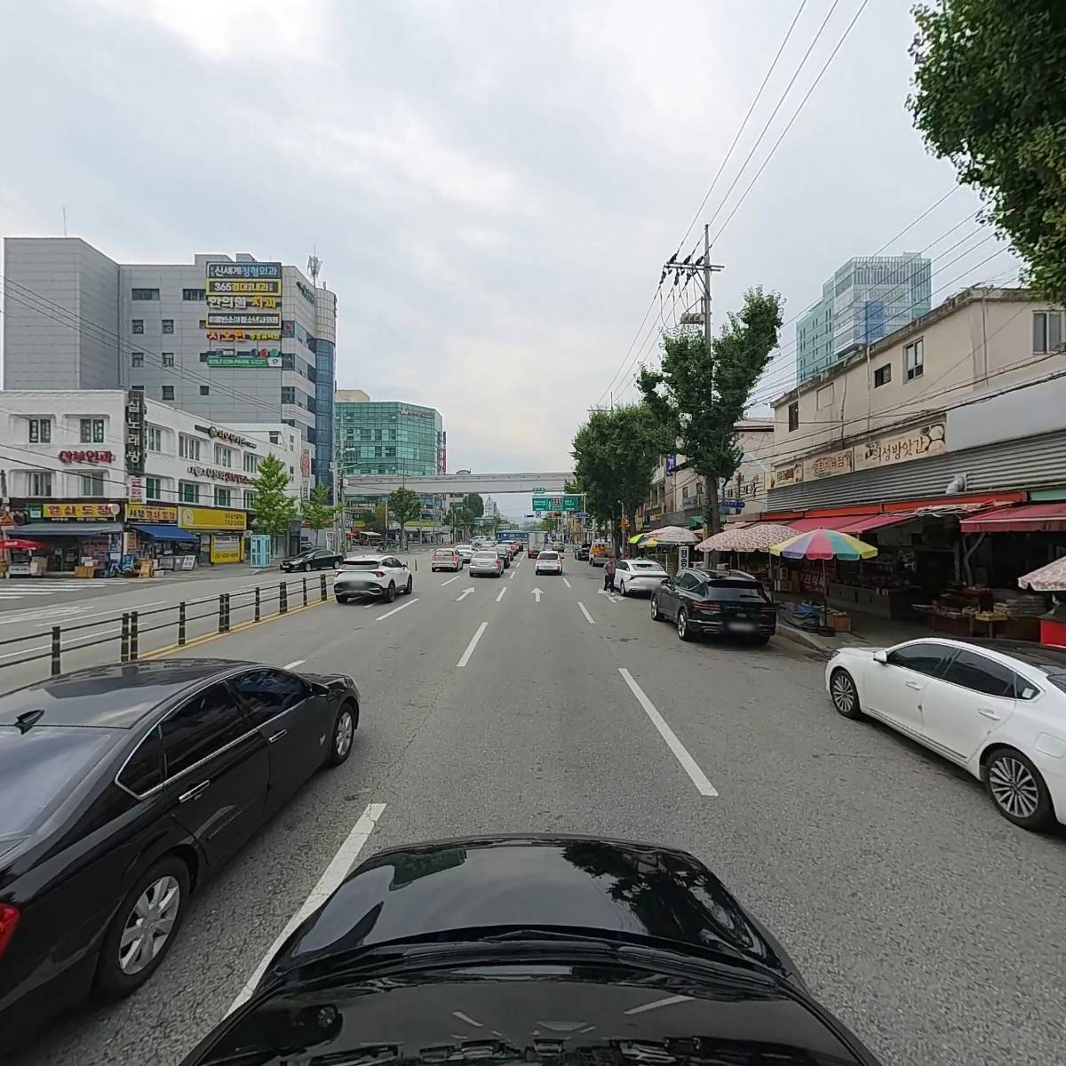 (사)대한민국무궁화예술협회 수성구지회_4