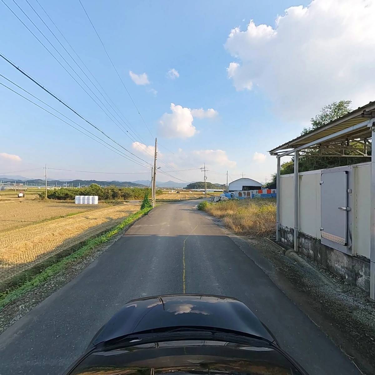 오뚜기콩나물_4