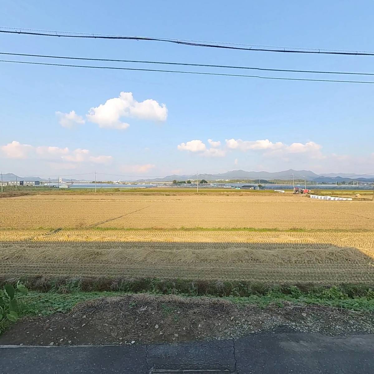 오뚜기콩나물_3