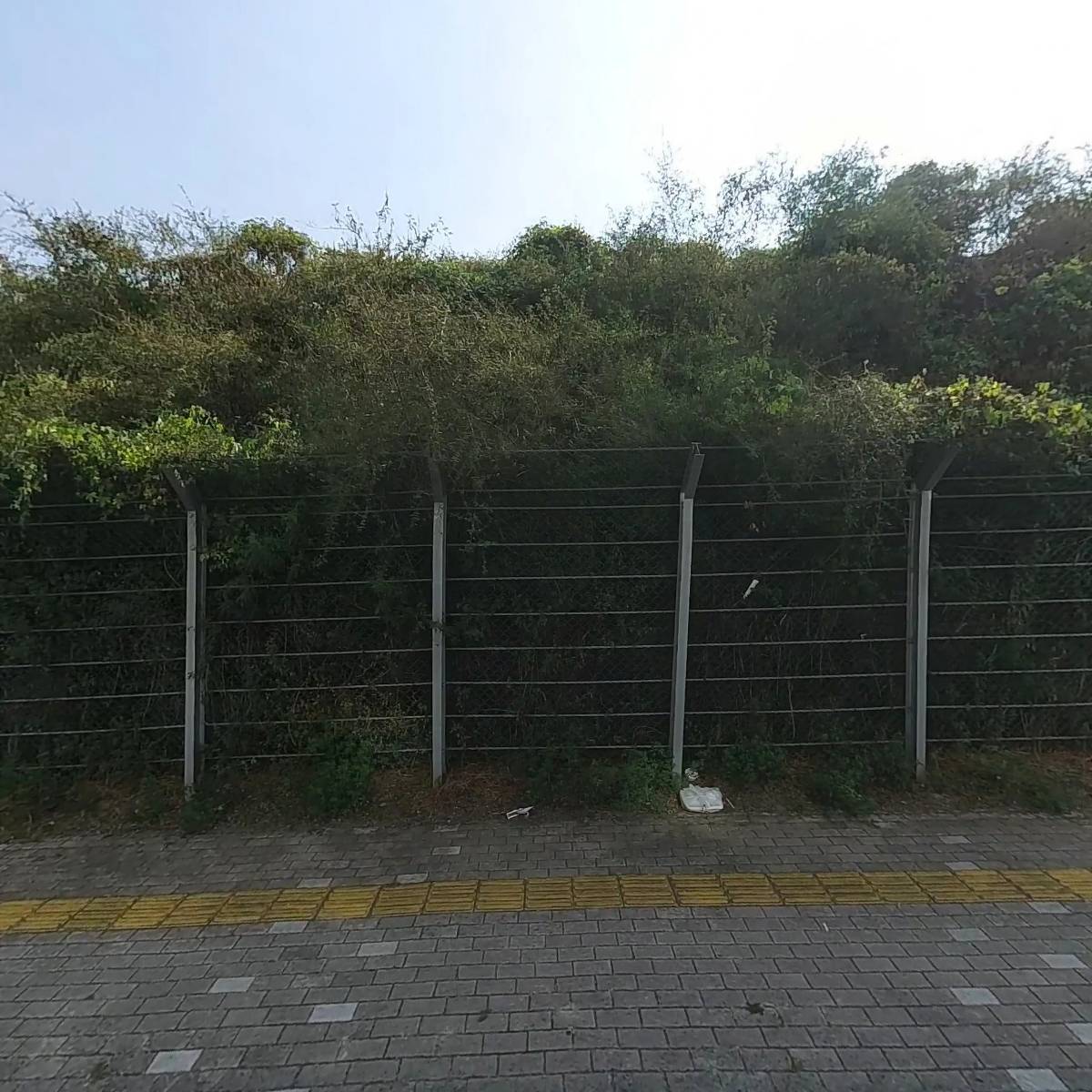 해피꼬마김밥 구지점