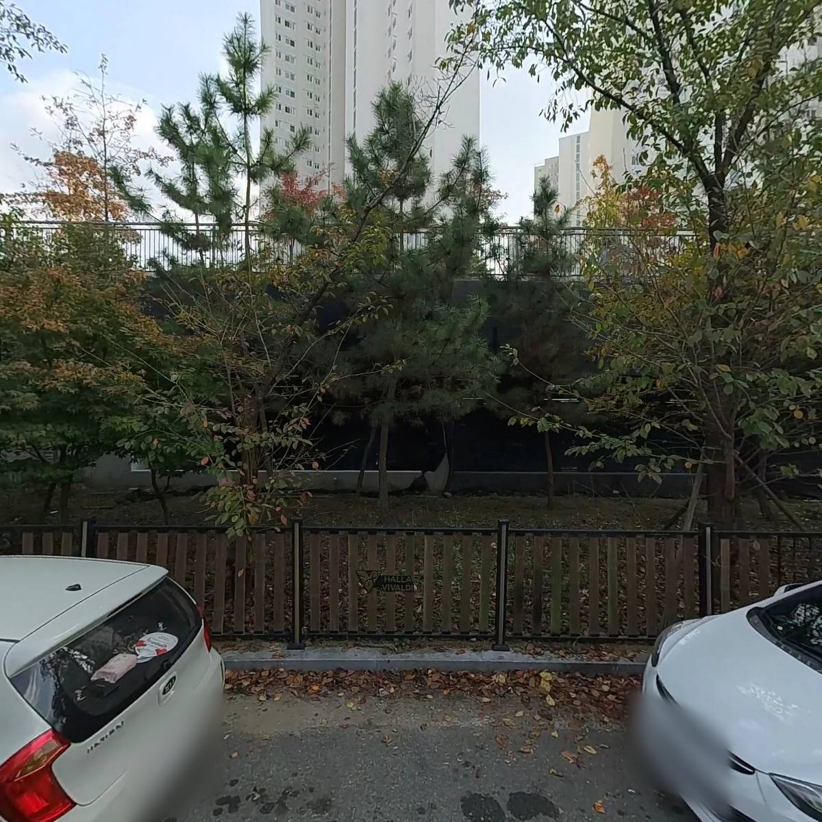 베베볼_3