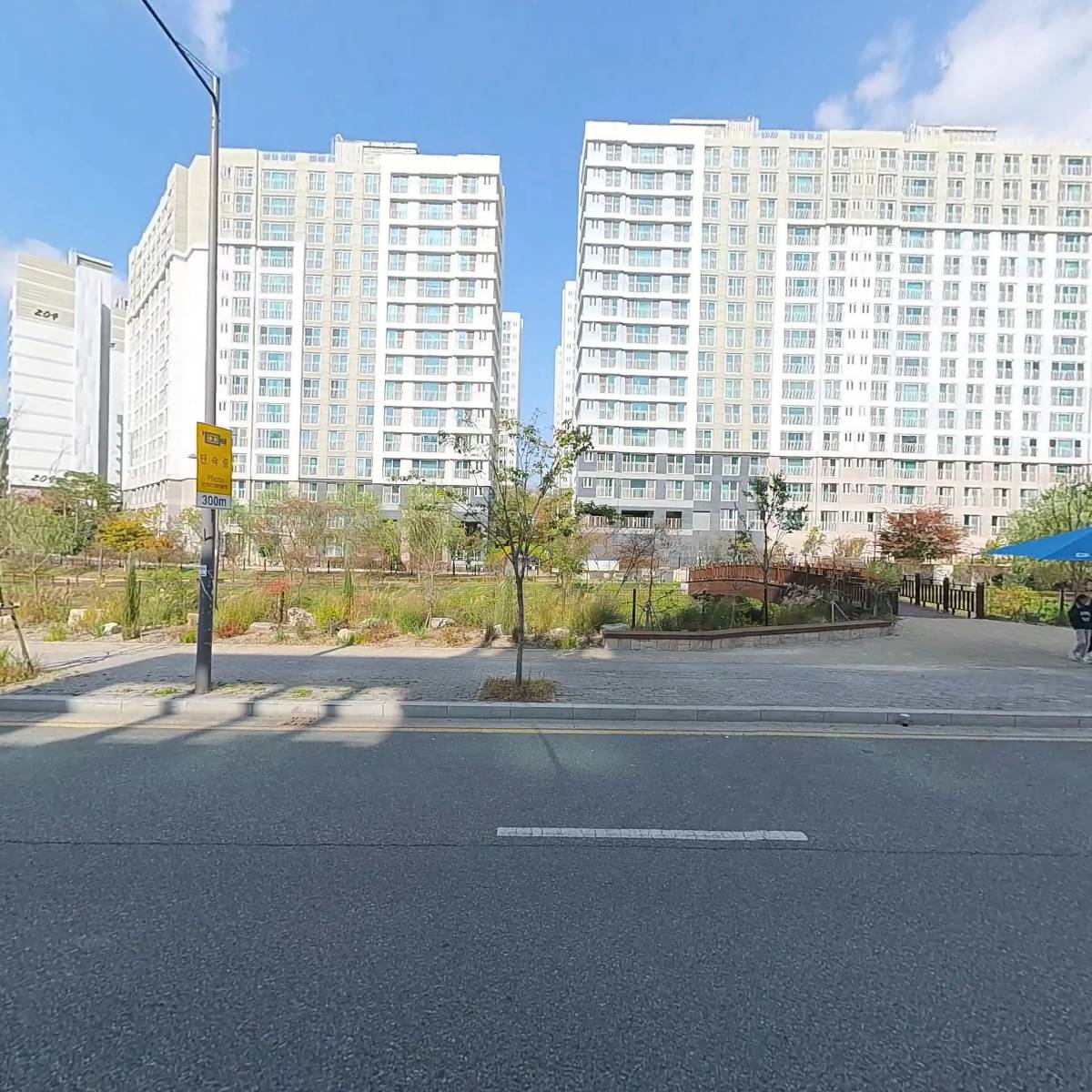 국수나무효천1가점_3
