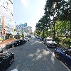 비숑_2