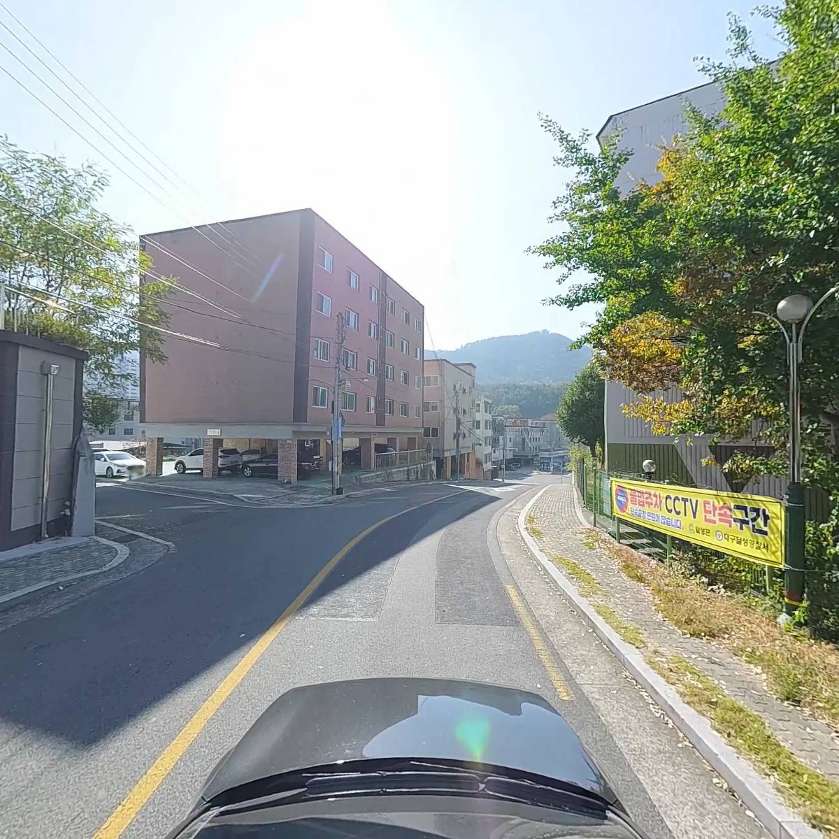비바체르누_4