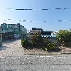 대통령우렁이_3