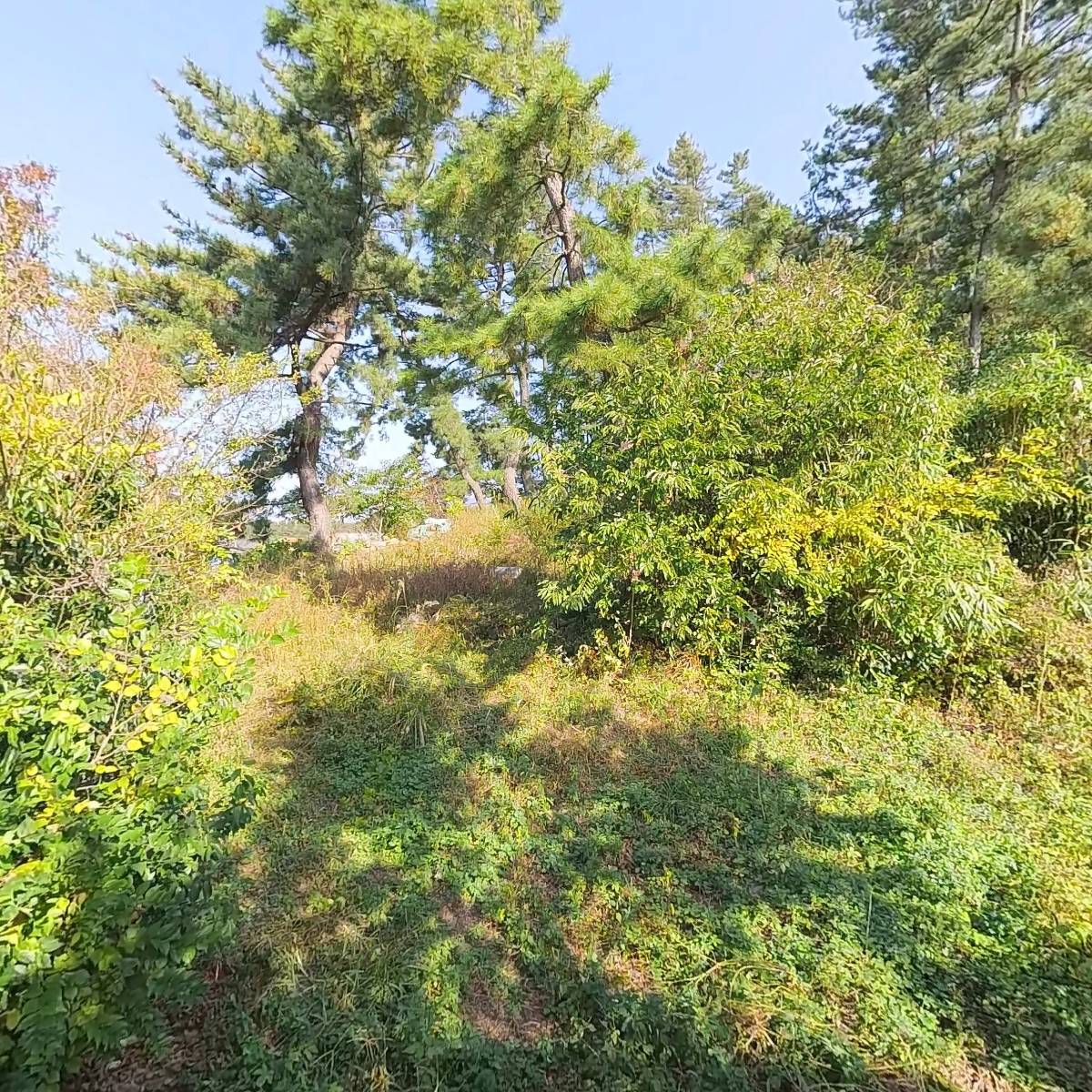 주식회사 서한