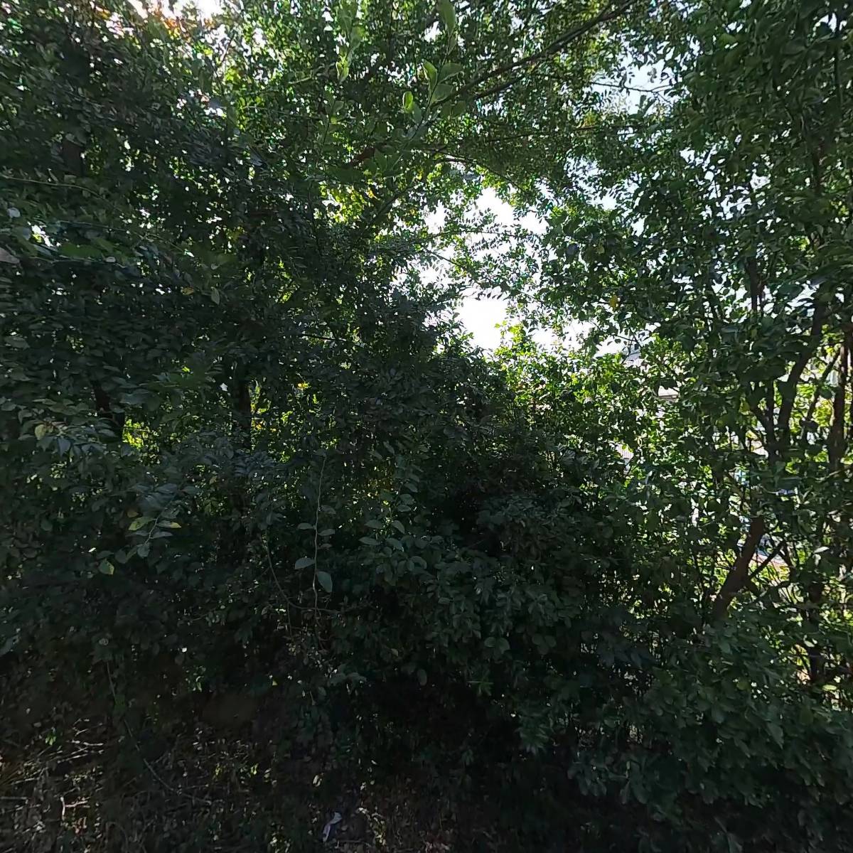 주식회사 서한_3