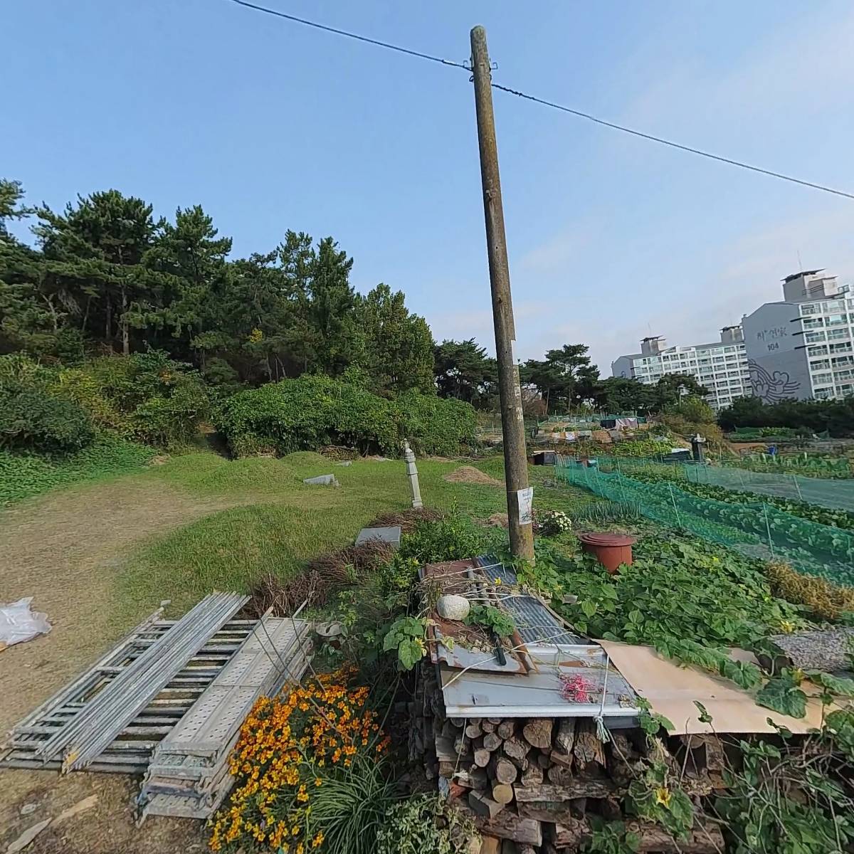 대한불교조계종 옥천사