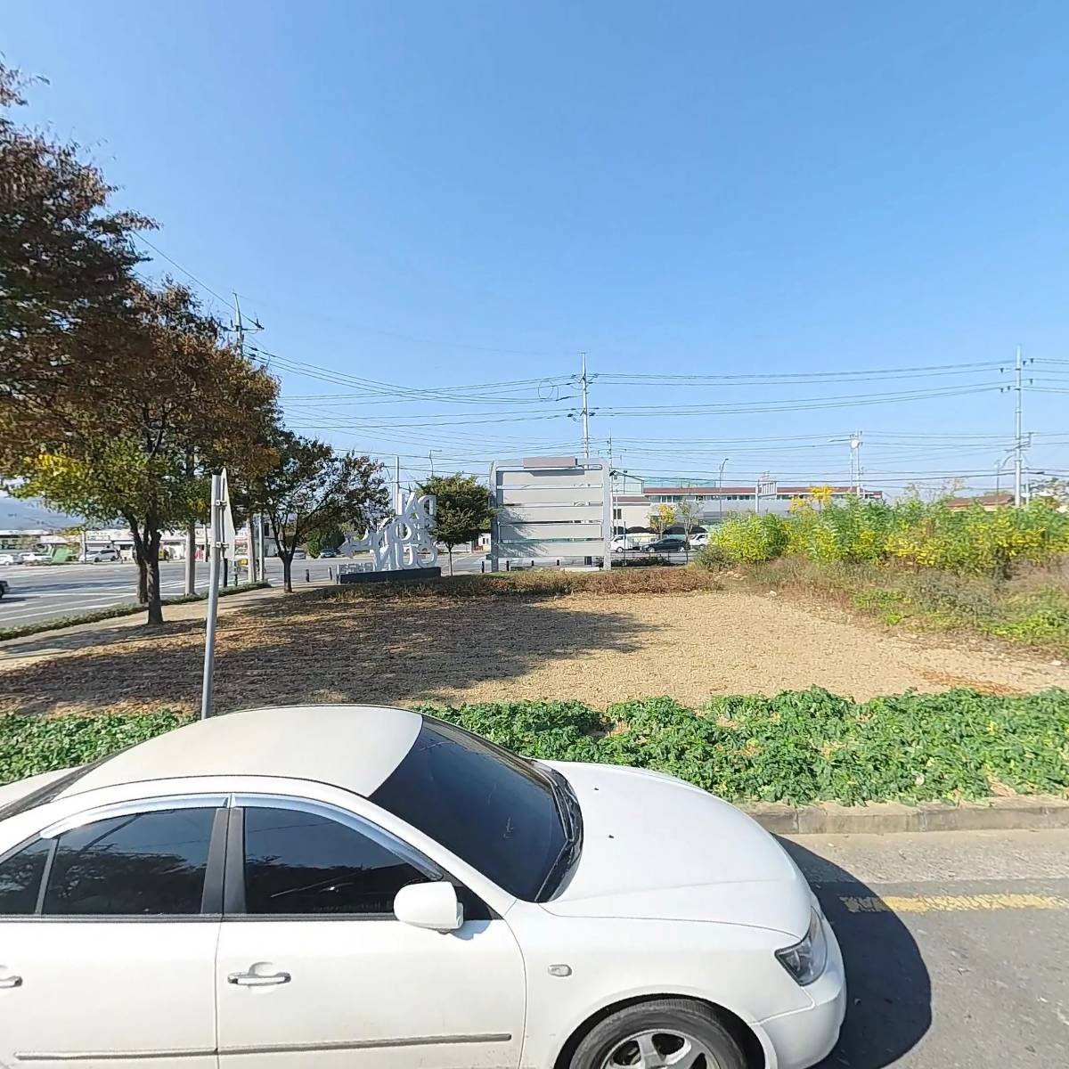 금포초등학교35회 동기회