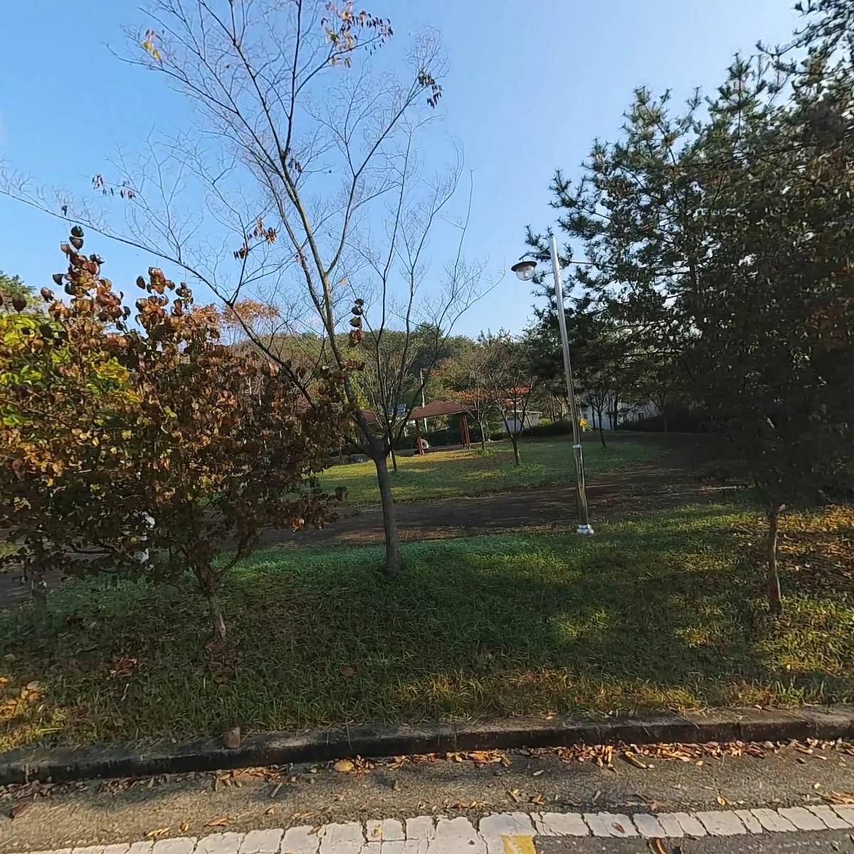순광유리