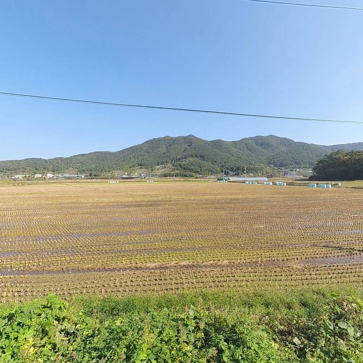 바다스토리 젓갈