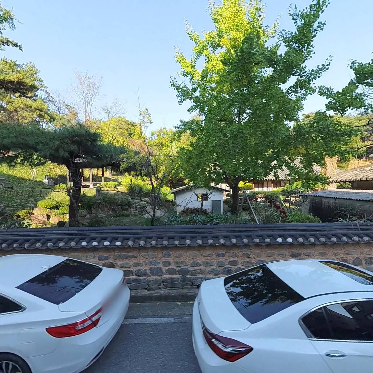 파이진하남