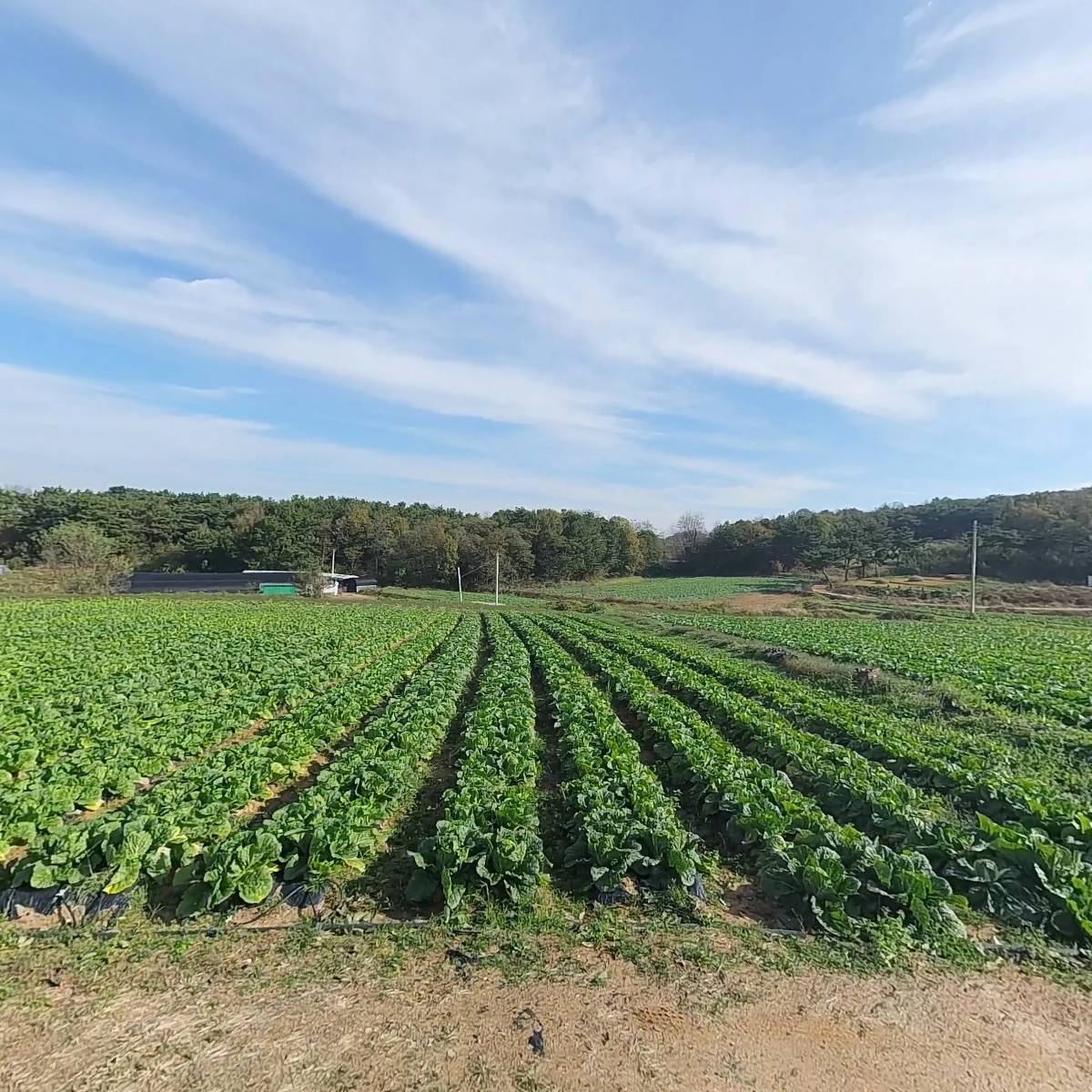 당진 친환경연구회 영농조합법인_3