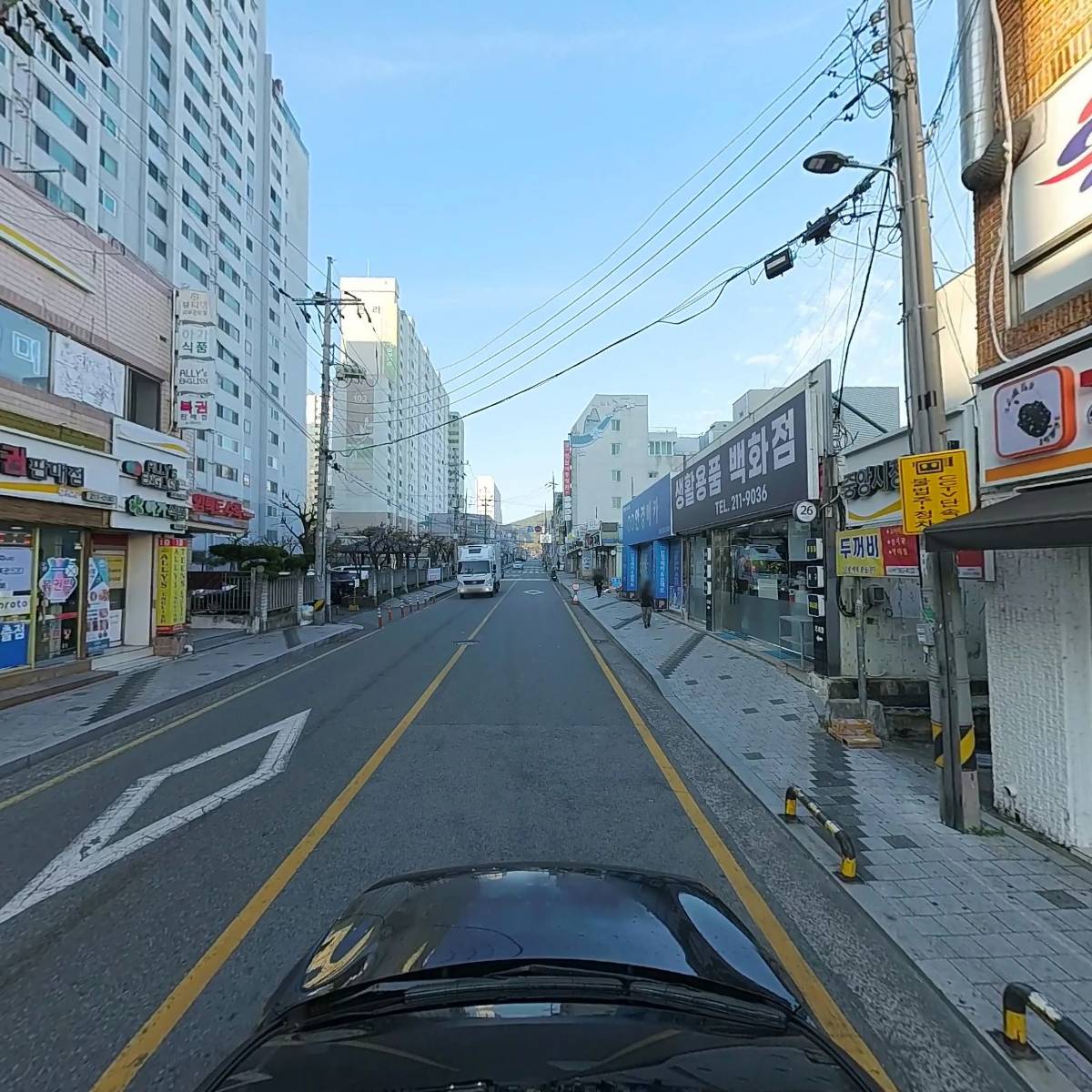 차나무_4